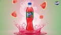 🍉 Fanta Watermelon Soda (China Import, 500ml) 💖